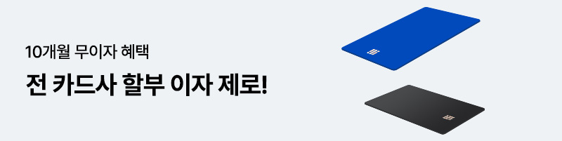 무이자 10개월