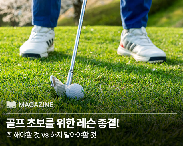 골프 초보 레슨 종결